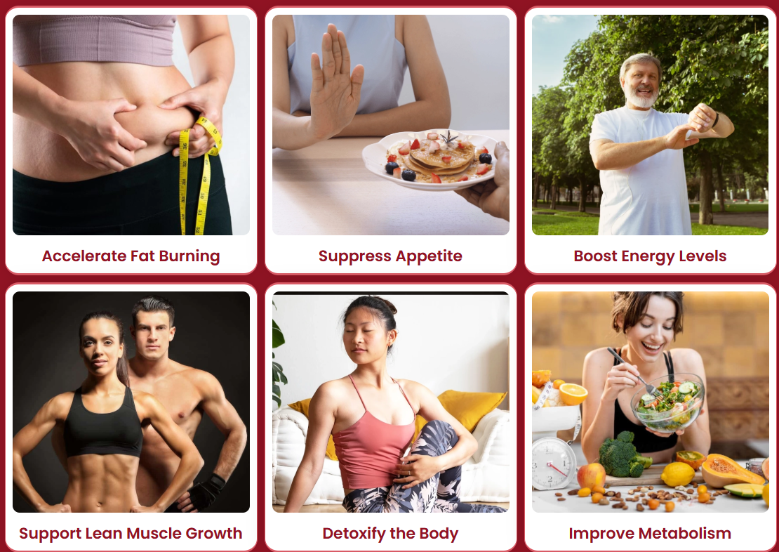 Gelataro® benefits — accelerate fat burning, suppress appetite, boost energy